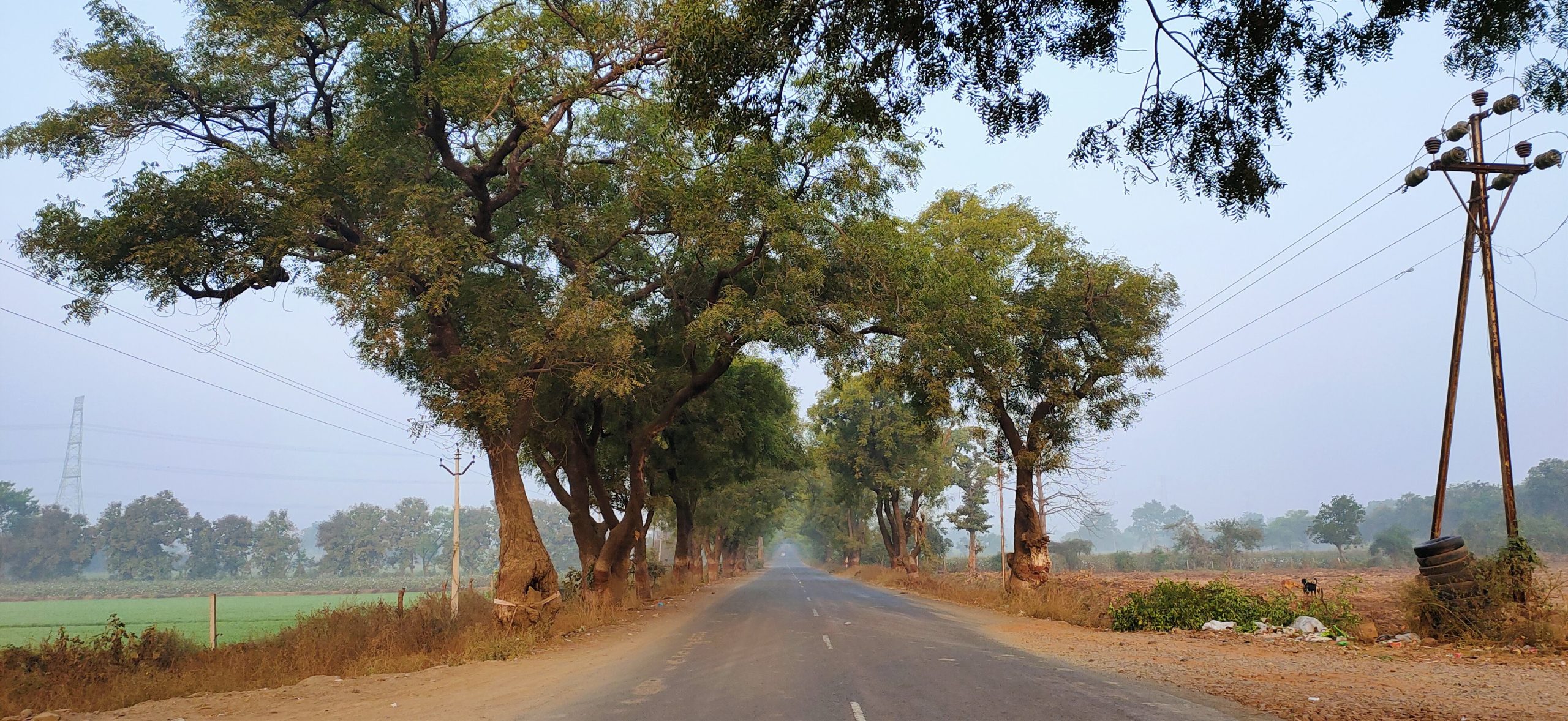 Reaching Tadoba By Road