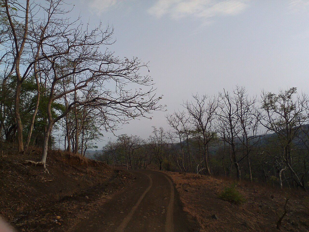 Safari jeeps in the reserve